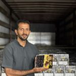 صادرات خرمای مضافتی به روسیه