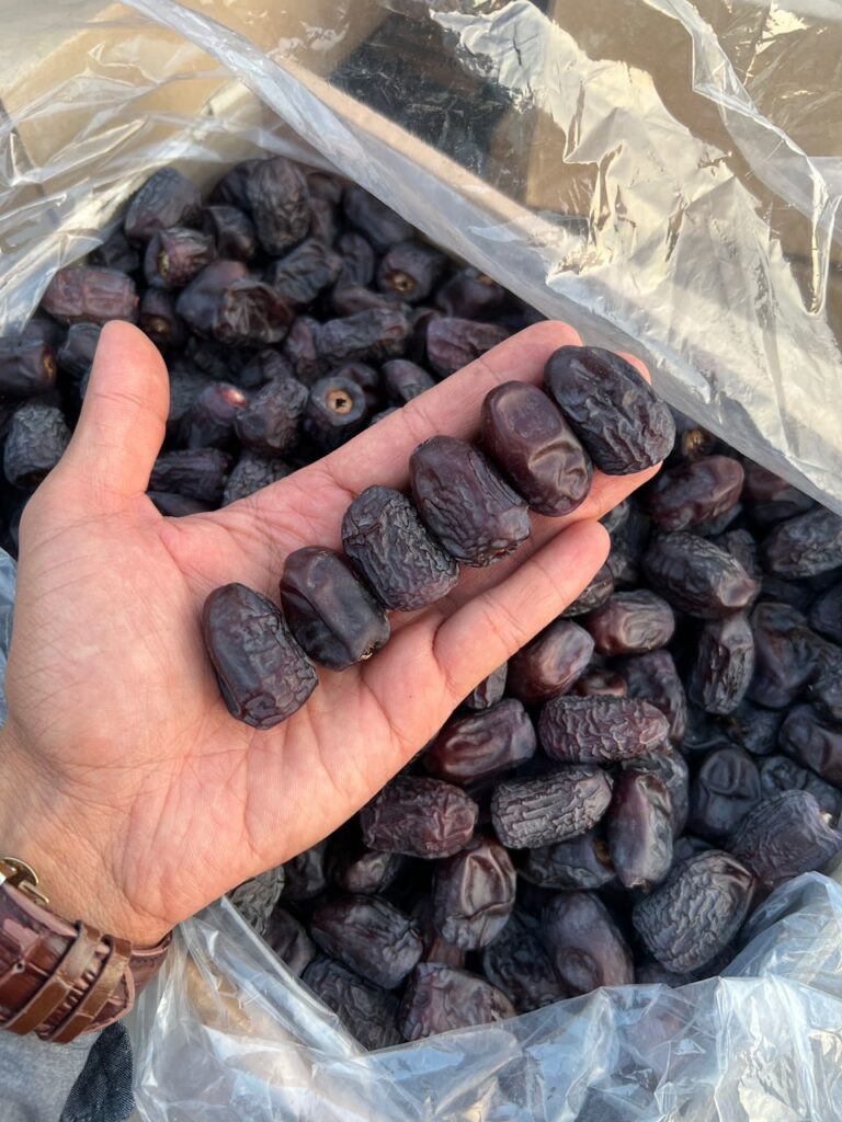 صادرات خرما به هند