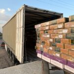 صادرات خرما به هند