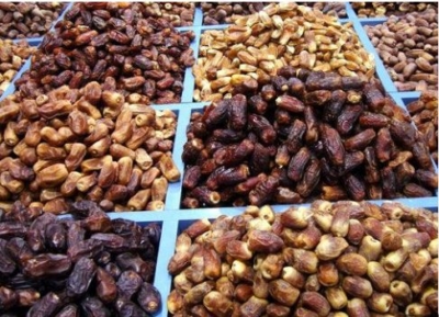 خدمات بازرگانی خرما روداب گستر پارس در بم