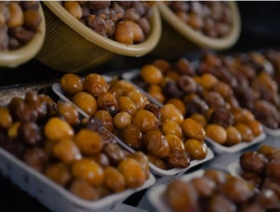 معرفی بازرگانی خرما روداب گستر پارس در بم